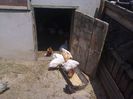 Foto4753