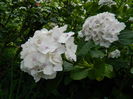 DSCN1371