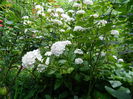 DSCN1374