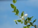 DSCN1384