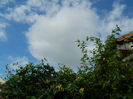 DSCN1393