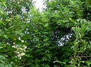 DSCN1400