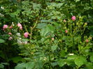 DSCN1404