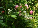 DSCN1405