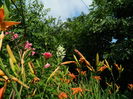 DSCN1406