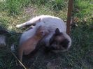 Foto4764