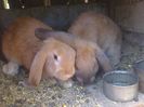 Foto4771