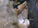 Foto4735