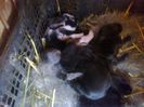 Foto4743