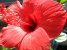 SAM_6524