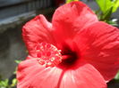 SAM_6526