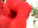 SAM_6529