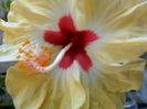 SAM_6538