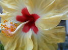 SAM_6539