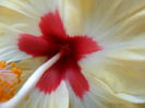 SAM_6541