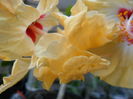 SAM_6544