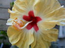 SAM_6549