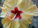 SAM_6550