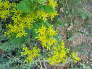 DSCN8020