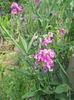 DSCN8021