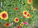 DSCN8031