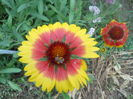 DSCN8032