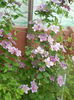 DSCN8039
