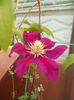 DSCN8040