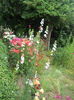 DSCN8042