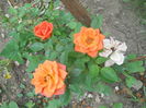 DSCN8043