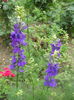 DSCN8047