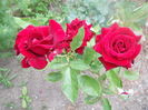 DSCN8048