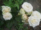 DSCN8049