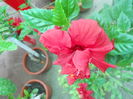 DSCN8053