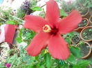 DSCN8057