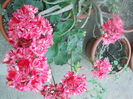 DSCN8058