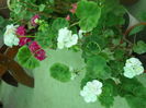DSCN8059