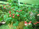 DSCN8060