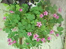 DSCN8063