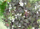 DSCN8064