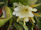 DSCN8069