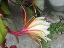 DSCN8070