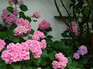 DSCN1105