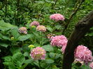 DSCN1198