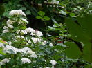 DSCN1281