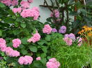DSCN1288