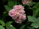 DSCN1311