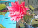DSCN8076
