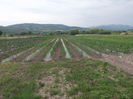 Picture 6173