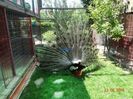 DSC01822